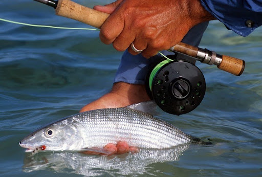 Mangrove Cay Club: Bight Access to All Sides of Andros