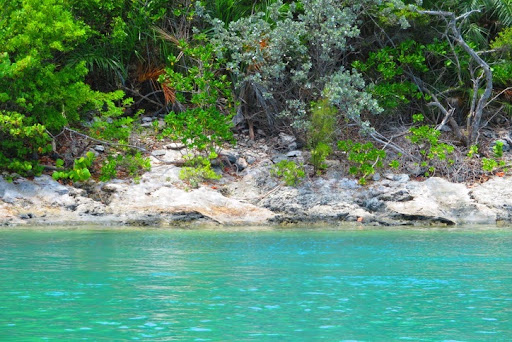 Fishing West Side National Park in Andros
